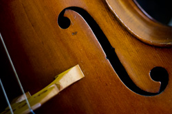Streichinstrumente mieten Berlin Kontrabass Cello viola violine