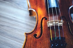 violin viola rental berlin